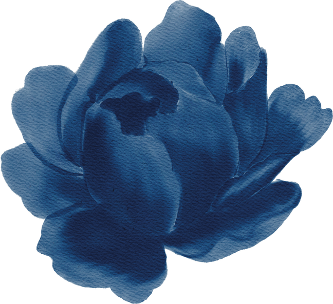 Blue Flowers Blossom in Water Color for Decorative Element